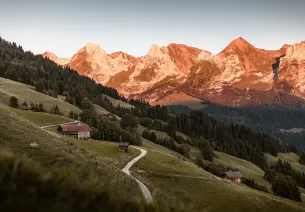 Aravis-waaier