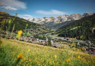 Le Grand-Bornand en Grand-Bornand Chinaillon