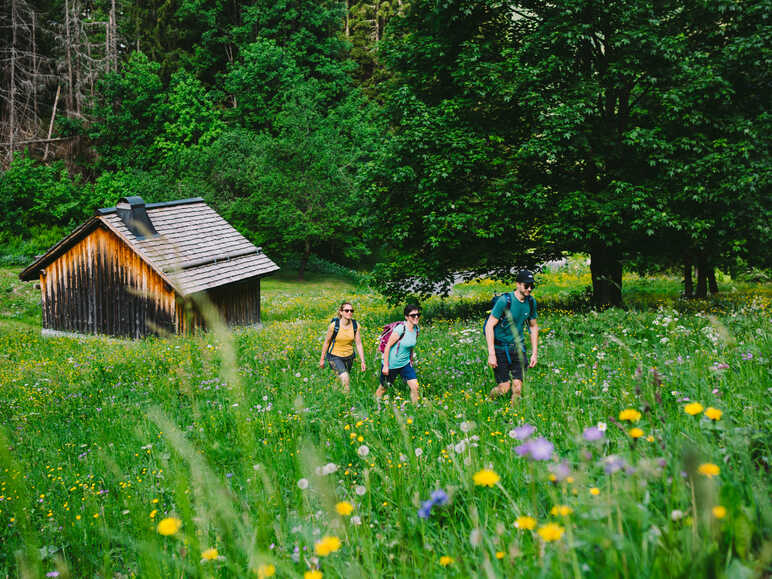 wandelingen op het platteland van Morzine