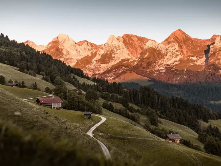 Aravis-waaier